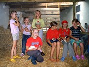 Ferien auf dem Bauernhof Fehmarn Ostsee Ferienwohnug Reiten