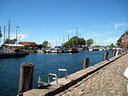 Ferien auf dem Bauernhof Fehmarn Ostsee Ferienwohnug Reiten