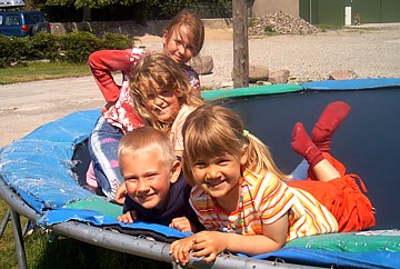 Ferien auf dem Bauernhof Fehmarn Ostsee Ferienwohnug Reiten