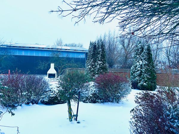 Ferienhof Eckhoff – Hof, Garten & Umgebung (6)